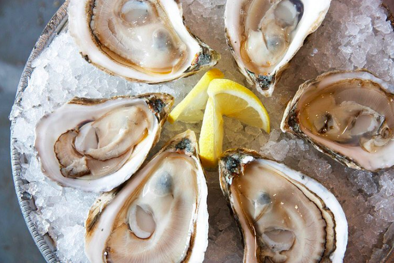 Where to Get the Best Oysters in Portland, Maine
